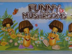 Sušienky funny mushrooms