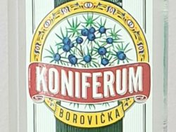 Borovička Koniferum 37,5%