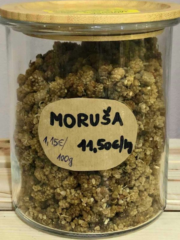 Moruša