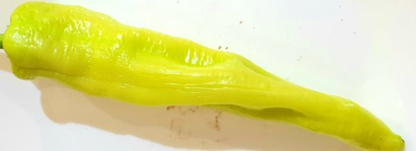 Paprika žltá